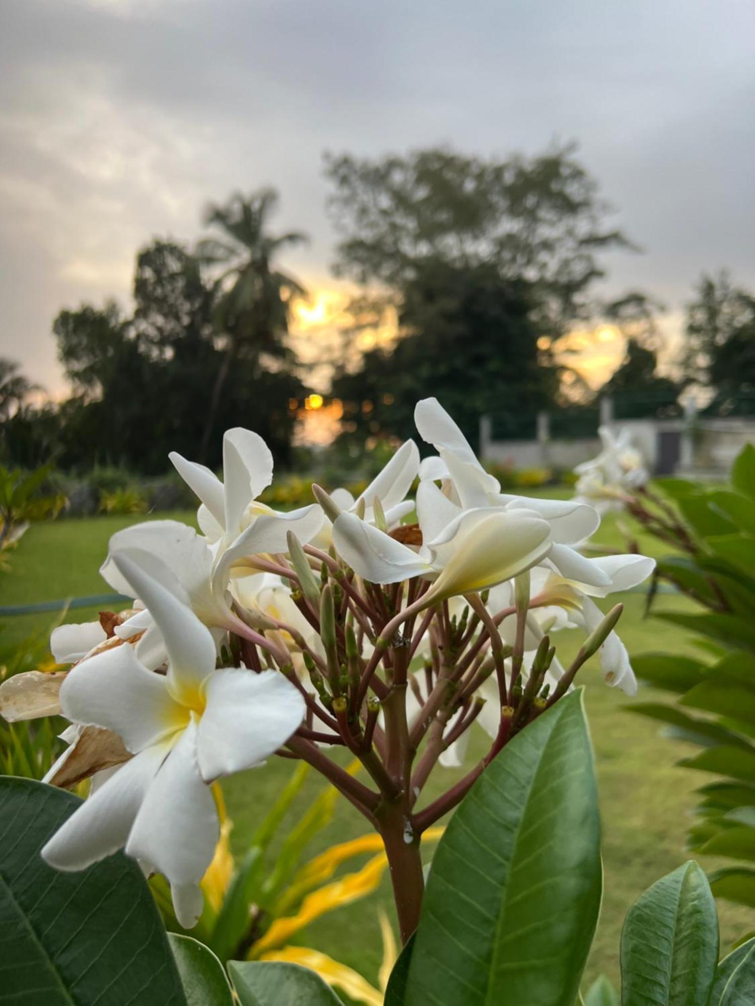 Kapaliya อูนาวาตูนา ภายนอก รูปภาพ